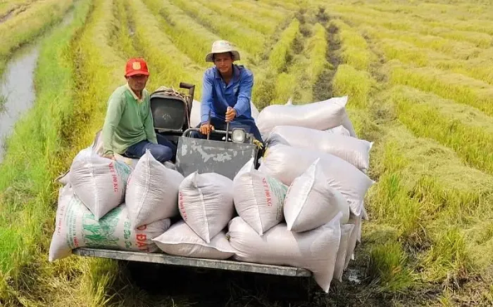 /storage/photos/2023/09/07/43/cac-dia-phuong-ap-dung-san-xuat-giam-phat-thai.webp